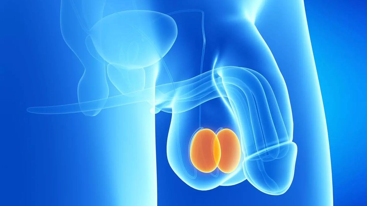 Custo da cirurxía de ampliación do pene
